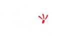 Công ty thiết kế website theo yêu cầu Vdesign